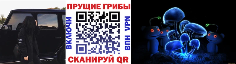 Псилоцибиновые грибы Psilocybine cubensis  наркотики  Азнакаево 