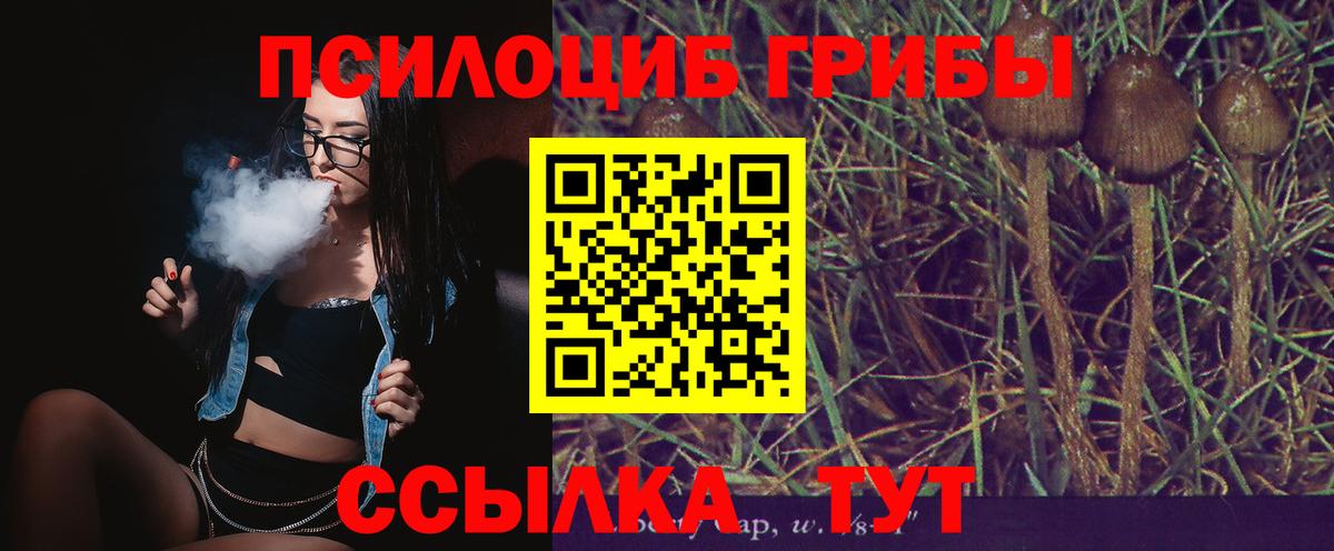 Псилоцибиновые грибы ЛСД  Вход с VPN  Азнакаево 